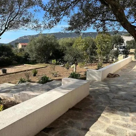 Villa Casa Petra Corse Du Sud 8 A 10 Personnes Piscine Vue Maquis *